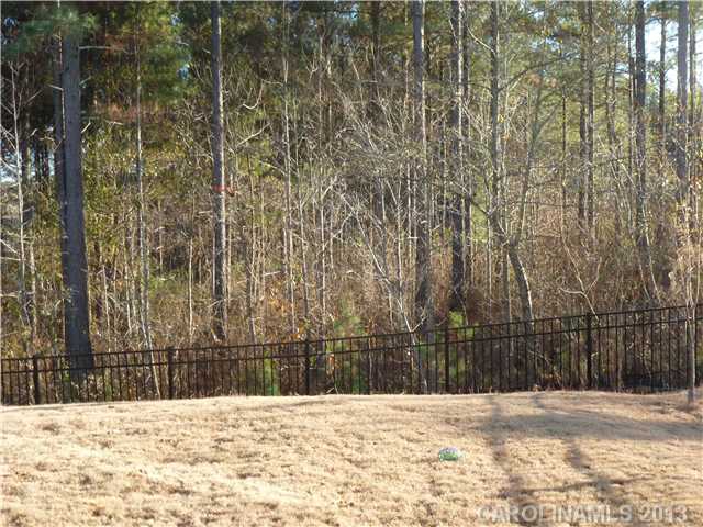 78059 Rillstone Dr, Lancaster, SC 29720 photo 14