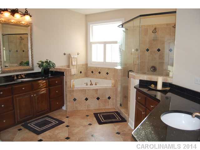 162 Burnell Pl, Davidson, NC 28036 photo 11