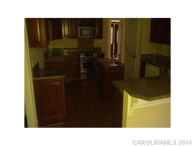 18808 Hammock Ln, Davidson, NC 28036 photo 3