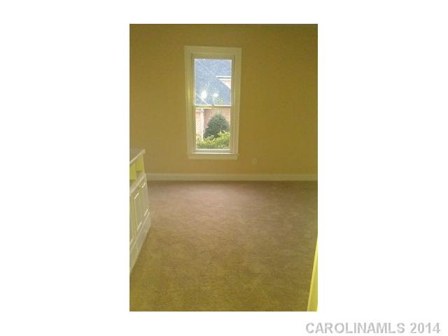 18808 Hammock Ln, Davidson, NC 28036 photo 10