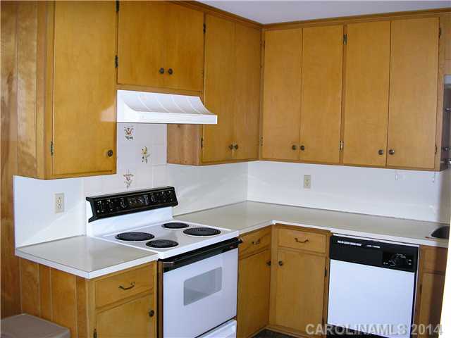 133 Vernon Dr, Davidson, NC 28036 photo 7