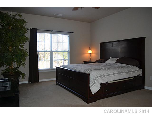 18320 Torrence Chapel Estates Cir, Cornelius, NC 28031 photo 11