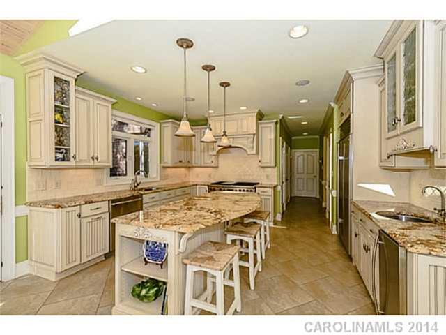 19916 River Falls Dr, Davidson, NC 28036 photo 2