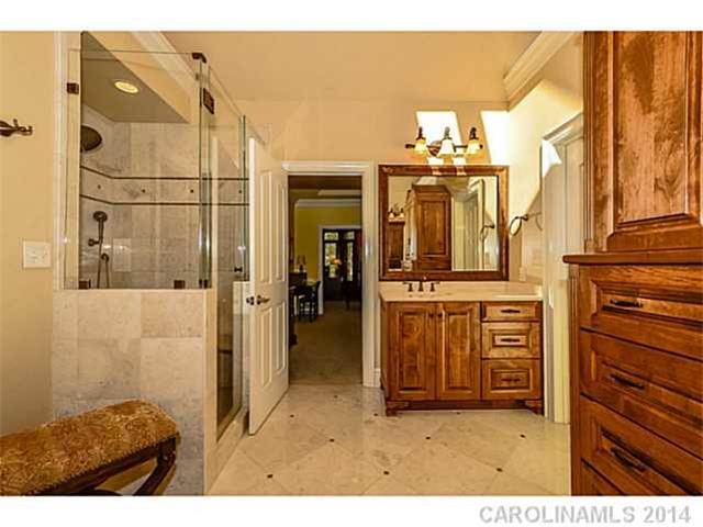 19916 River Falls Dr, Davidson, NC 28036 photo 13