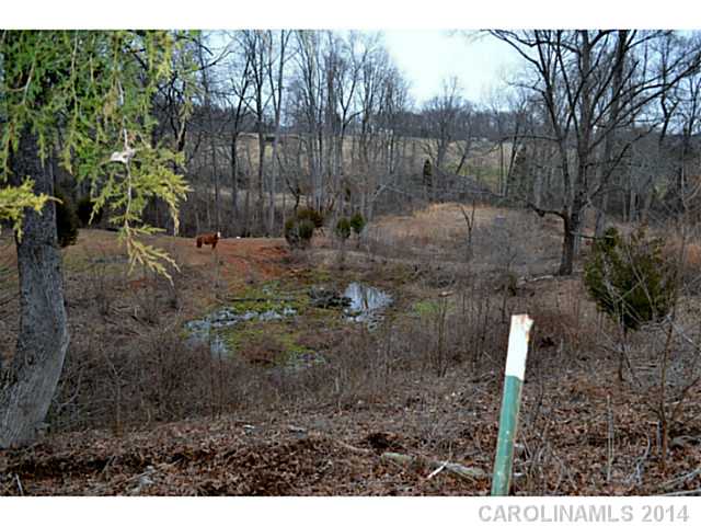 3916 Cansler Rd, Vale, NC 28168 photo 2