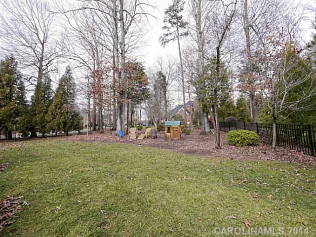 18507 Rollingdale Ln, Davidson, NC 28036 photo 16
