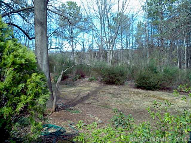 204 Falling Tree Ln, Monroe, NC 28112 photo 14