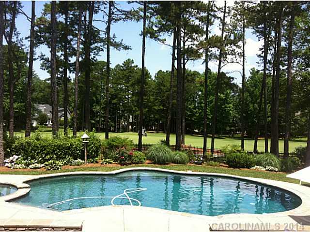 17908 River Ford Dr, Davidson, NC 28036 photo 4