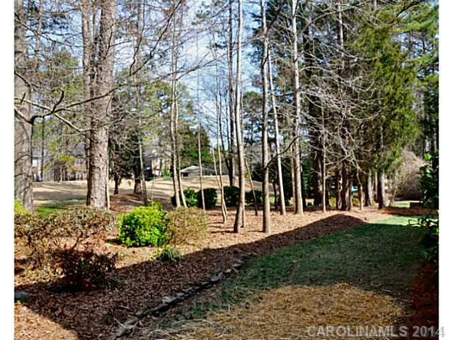 18640 Greyton Ln, Davidson, NC 28036 photo 3