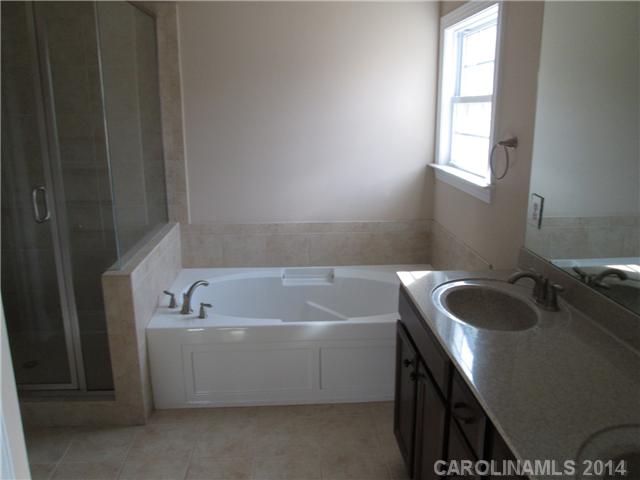278 Arrow Point Ln, Davidson, NC 28036 photo 9