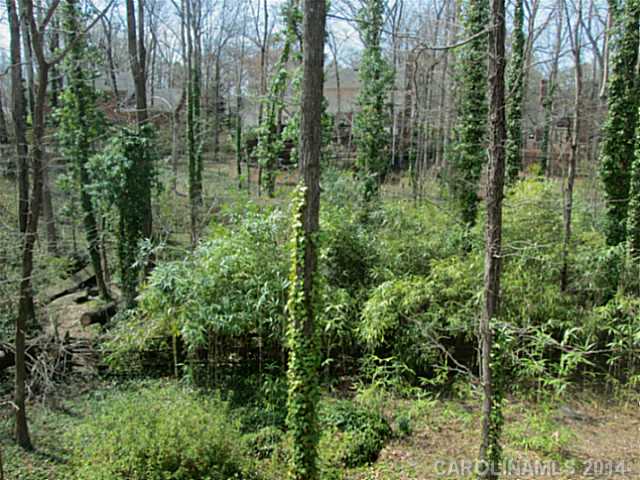 1623 Piccadilly Dr, Charlotte, NC 28211 photo 14