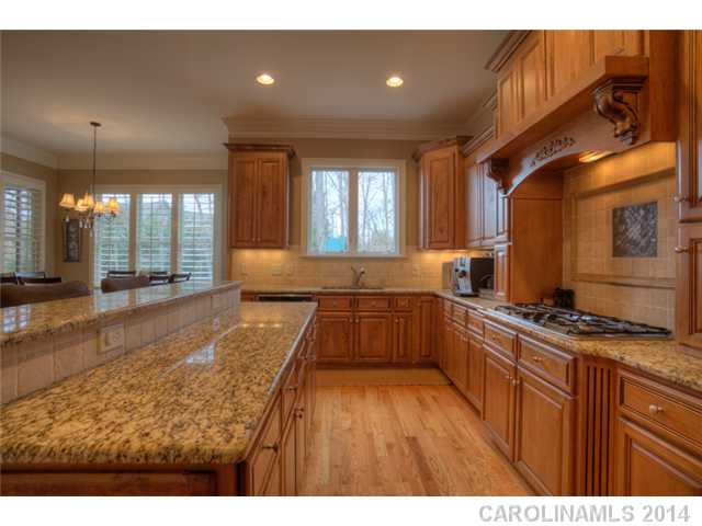 18623 Silent Falls Cv, Davidson, NC 28036 photo 5