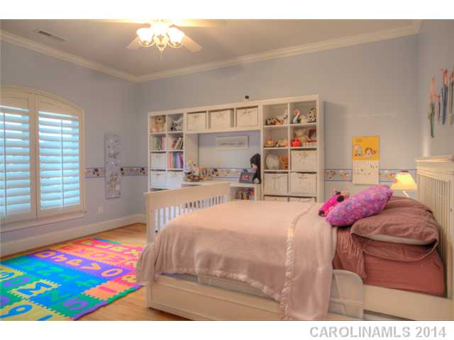 18623 Silent Falls Cv, Davidson, NC 28036 photo 12
