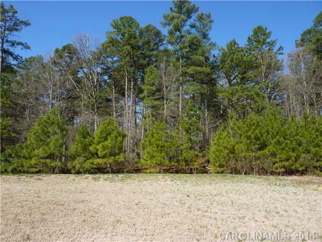 3010 Twilight Ln, Monroe, NC 28110 photo 16