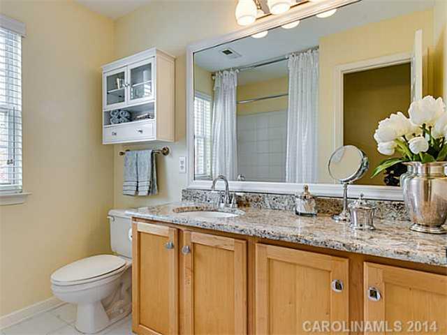 21236 Crown Lake Dr, Cornelius, NC 28031 photo 13