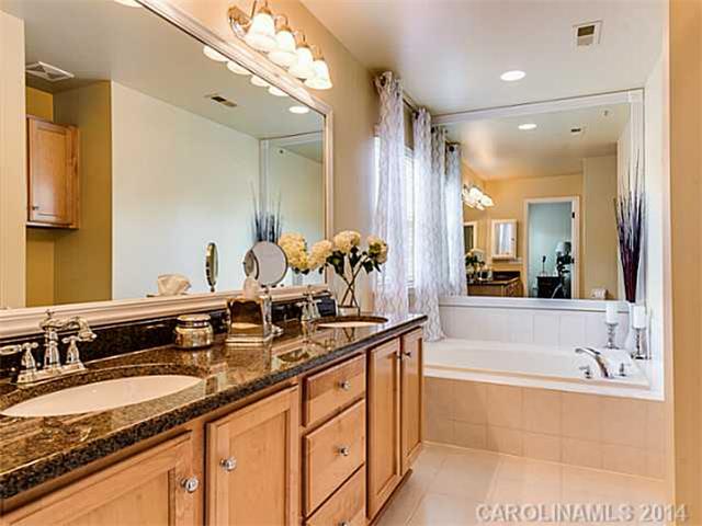 21236 Crown Lake Dr, Cornelius, NC 28031 photo 11