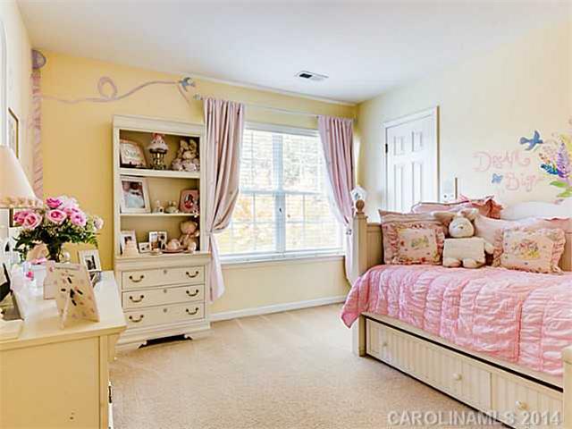 21236 Crown Lake Dr, Cornelius, NC 28031 photo 12