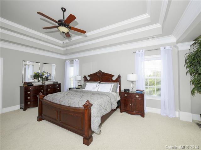 3234 Basalt Pl, Davidson, NC 28036 photo 12