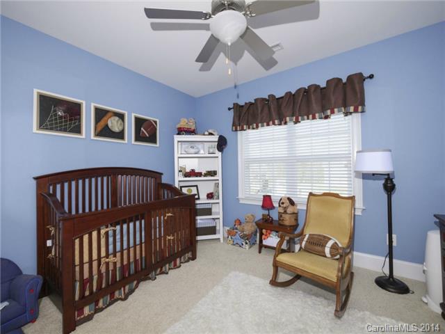 3234 Basalt Pl, Davidson, NC 28036 photo 20