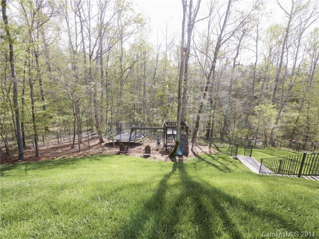 3234 Basalt Pl, Davidson, NC 28036 photo 22