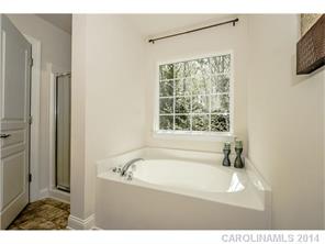 19133 Celestine Ln, Cornelius, NC 28031 photo 12
