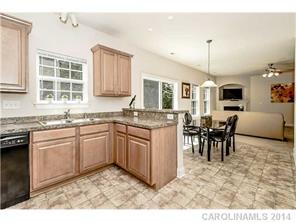 19133 Celestine Ln, Cornelius, NC 28031 photo 8