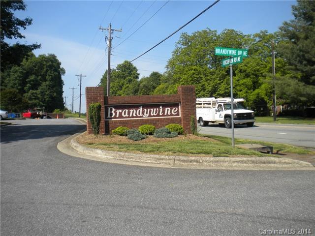 102 Brandywine Ne D6 Dr NE #D6, Conover, NC 28613 photo 16