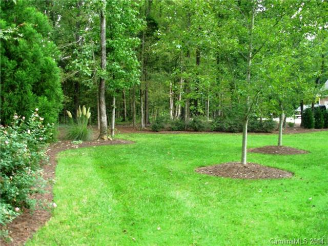 707 Torrence Ct, Waxhaw, NC 28173 photo 21