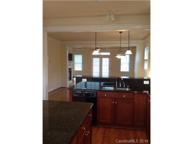 117 Lilac Mist Loop, Mooresville, NC 28115 photo 5