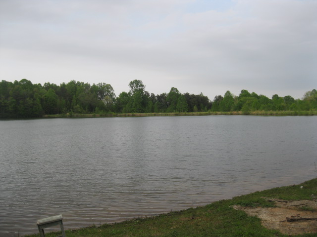 217 Skyview Lake Rd, Harmony, NC 28634 photo 6