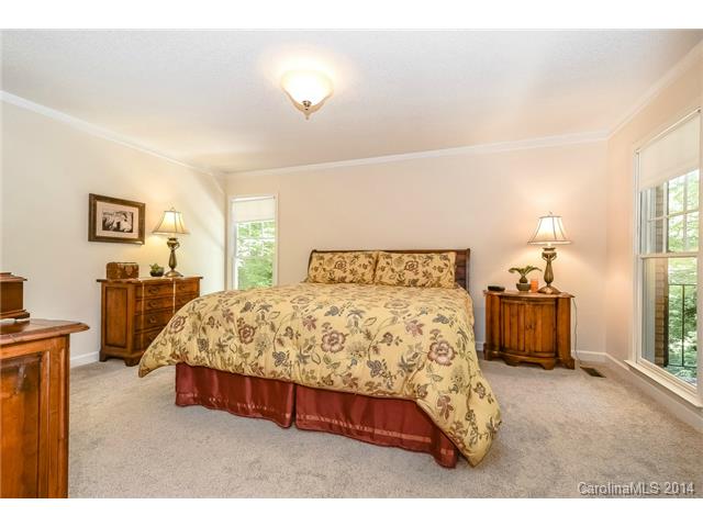 11291 Olde Cedar Ct, Davidson, NC 28036 photo 10