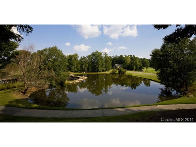 18514 Dembridge Dr, Davidson, NC 28036 photo 8