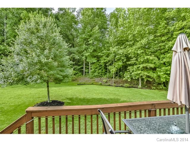 10773 Kingsview Dr, Davidson, NC 28036 photo 23