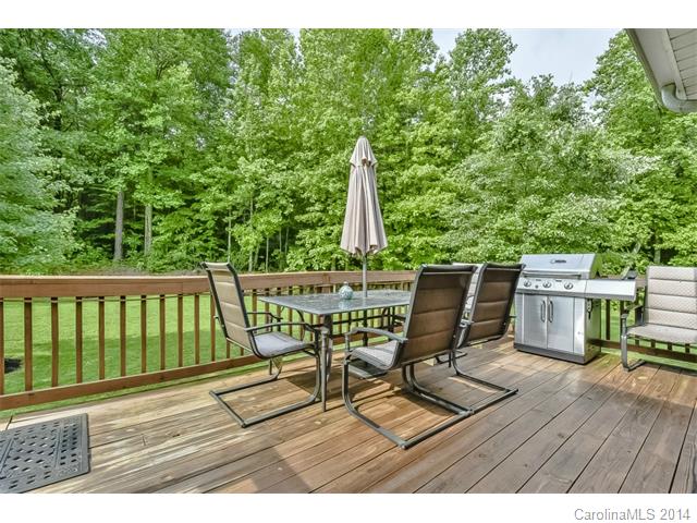 10773 Kingsview Dr, Davidson, NC 28036 photo 22