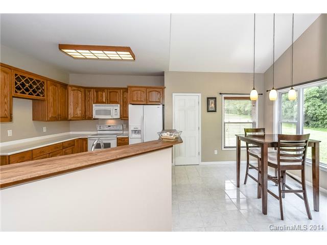 10773 Kingsview Dr, Davidson, NC 28036 photo 10