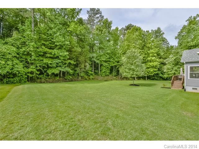 10773 Kingsview Dr, Davidson, NC 28036 photo 21