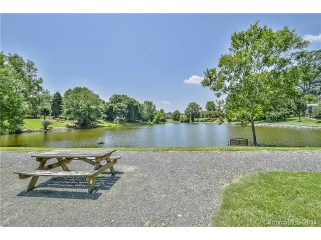 525 Cranborne Chase Rd, Fort Mill, SC 29708 photo 23