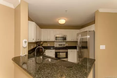 1313 Torrence 1313 Cir #1313, Davidson, NC 28036 photo 2