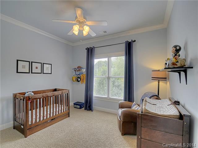 18328 Dembridge Dr, Davidson, NC 28036 photo 17