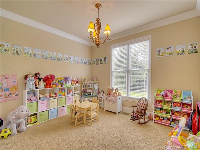 18328 Dembridge Dr, Davidson, NC 28036 photo 18