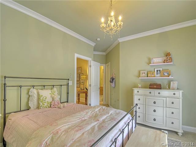 18328 Dembridge Dr, Davidson, NC 28036 photo 15