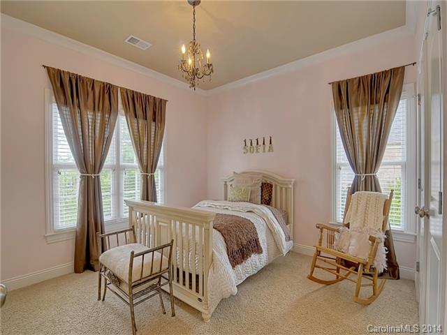 18328 Dembridge Dr, Davidson, NC 28036 photo 16
