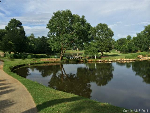 18328 Dembridge Dr, Davidson, NC 28036 photo 24