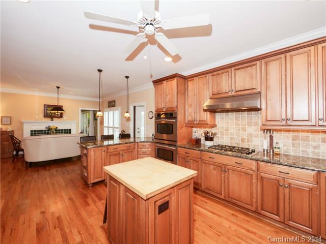 203 Hobbs St, Davidson, NC 28036 photo 13