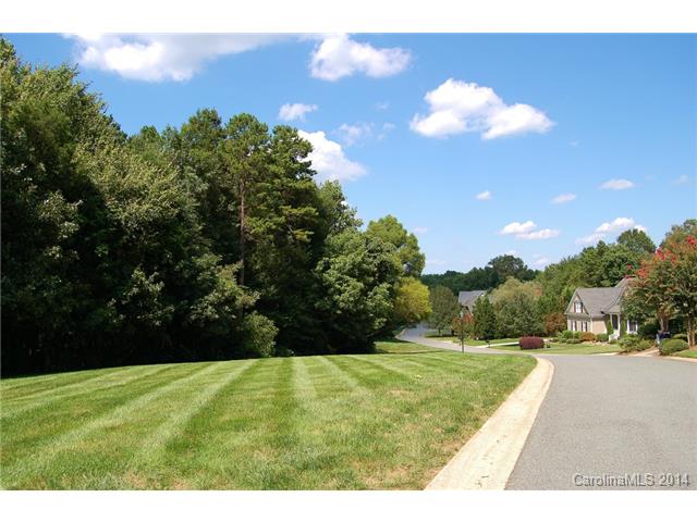 18632 River Crossing Blvd, Davidson, NC 28036 photo 24