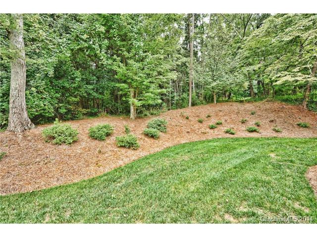 18632 River Crossing Blvd, Davidson, NC 28036 photo 22