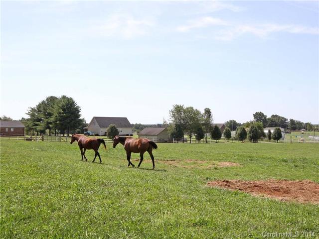 1278 George Brown Rd, Crouse, NC 28033 photo 24