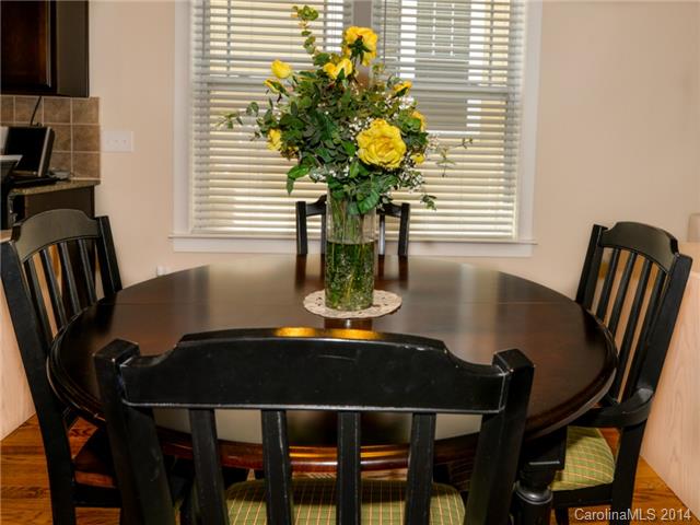 15858 Kiser Corner Ln, Davidson, NC 28036 photo 9