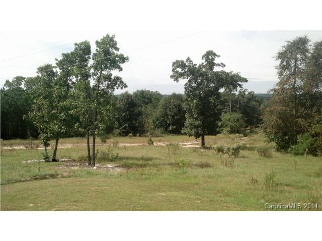 306 Wagon Wheel Ln, Ruby, SC 29741 photo 5