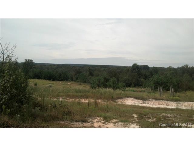 306 Wagon Wheel Ln, Ruby, SC 29741 photo 4